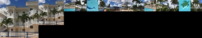 Tropics View Jamaica