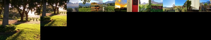 Olive and Vine Farm Cottage