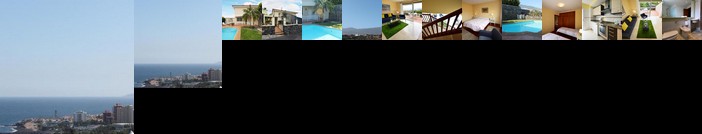 Azalea Puerto de la Cruz