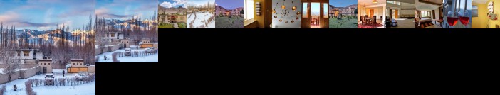 The Driftwood Ladakh