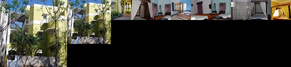 OYO 9136 Mauve Orchid