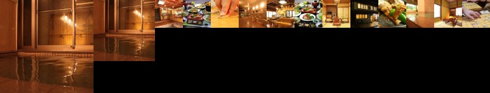 Echigoya Ryokan Ogano