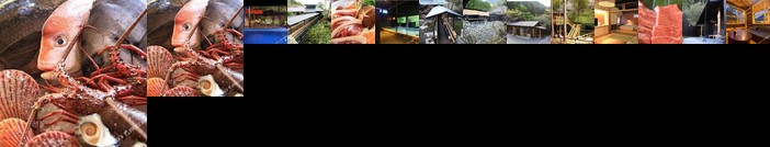 Ryokan Sodayama Onsen Japanese Yawaragi