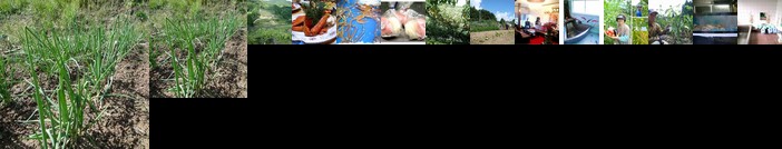 Minshukuryokan Miuraya