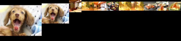 RYOKAN Kakino Onsen Hasshoen Yumotokan