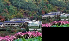 RYOKAN Hoyo Center Kamurikiso