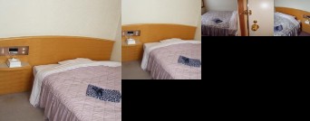 Ryokan Tsuruya Hotel