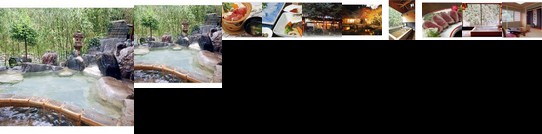 RYOKAN Shimonita Onsen Seiryuso