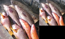 RYOKAN Misaki Lodge Nishida