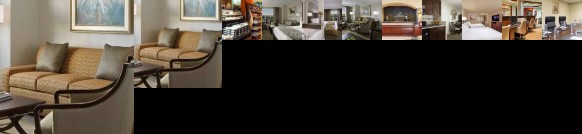 Suites at HGVC on Paradise-Convention Center