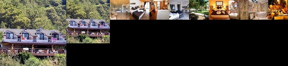 Sea Horse Beach Club