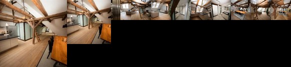 Hojbro Plads Penthouse