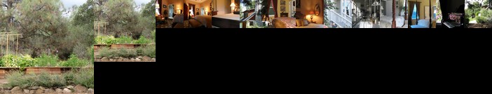 Yosemite Rose Bed and Breakfast