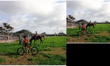 Minshuku Yugafu no Sato