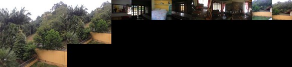 Casa Amarela Blumenau