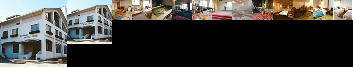Hotel Shinano Prince Shirakaba
