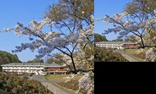 Hotel Meadow Gardens