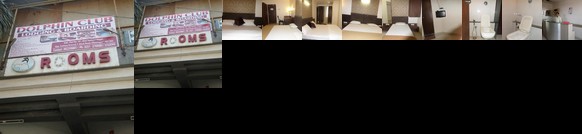 Dolphin Club Lodging & Boarding