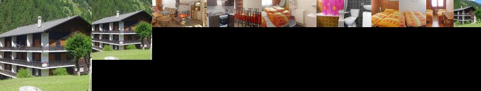 Apartment Aiglon Anniviers