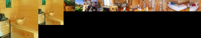 Holiday Home Villa Amber GA ski 2