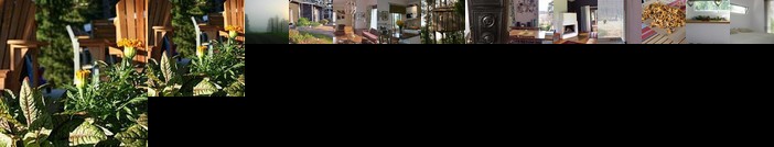 Holiday Home Villa holkeri