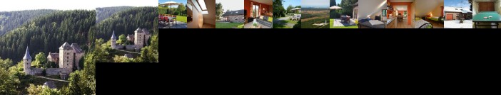 Quaint Holiday Home for 12 in Waimes near Ardennes Forest