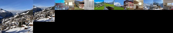 Apartment Tschingelhorn