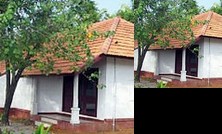 Turtle Beach Resort Alleppey