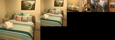 Auckland One tree hill Cody Suite