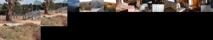 Springmead Rustic Cabin