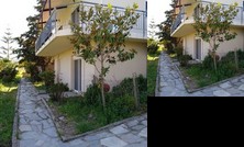 Fifty Shades of Green