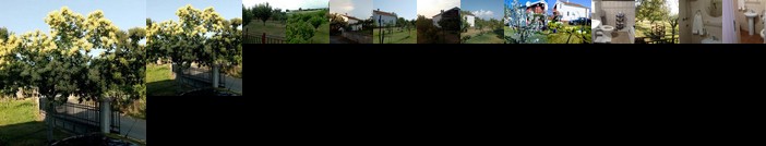 Airport home Radinovic