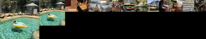 Blackwattle at Barrington Tops