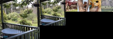 Reidford Cottage - Dog Friendly