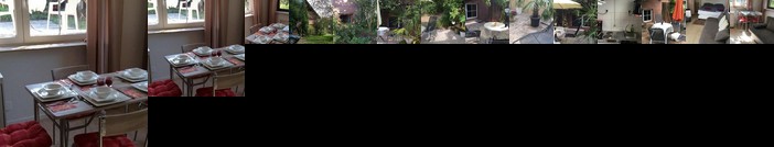 Naturblick Lauenburg/Elbe