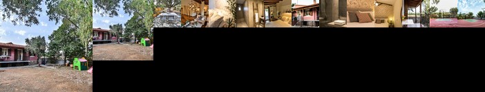 TERRA Paradiso w/ basketball court