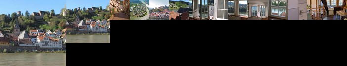 Neckarblick Natur Altstadt