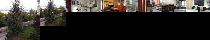 Wellington Vitoria-Gasteiz