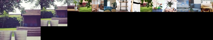 Vakantiehuis Maasland