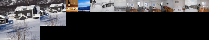 Apartment between Ustaoset and Geilo