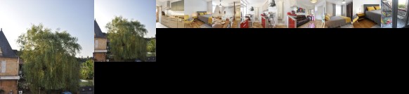 Les toits de Lascaux