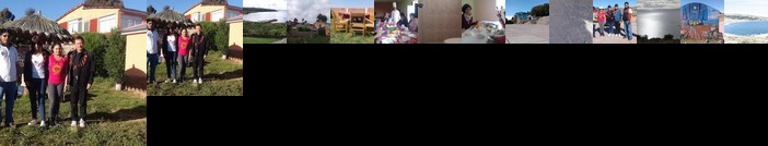 Alberto homestay taypi qamana establo