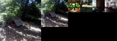 Twinkle Tree's Cottage