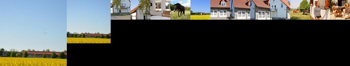 FEWO Reitanlage bei Altefahr