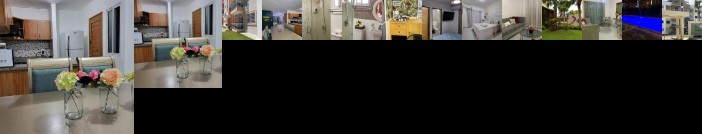 Palma Real santiago Republica Dominicana