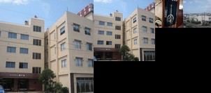 Business Inn Tanegashima