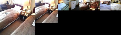 Imabari Station Hotel