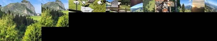 Chalet Edelweiss Gruyeres