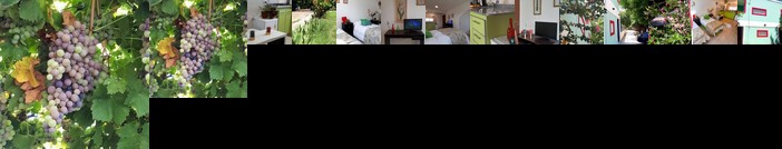 Desconfinate en Mendoza Domaine Laborde I