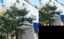 Business Hotel Pearl